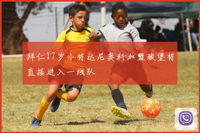 拜仁17岁小将达尼奥科加盟狼堡将直接进入一线队